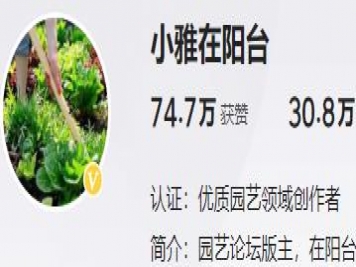 養(yǎng)花自媒體：小雅在陽臺(tái)