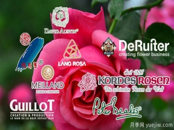 月季網：全球著名月季育種公司和育種人推薦
