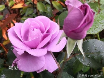 想要獲得突破性成長(zhǎng)，要打破思維的墻