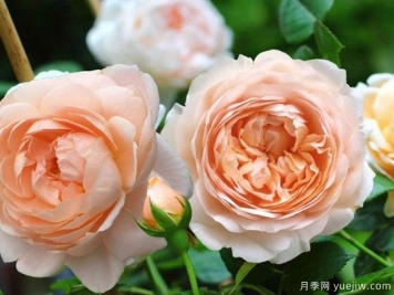 干凈不只是一種氣質(zhì)，也是一個(gè)人的尊嚴(yán)