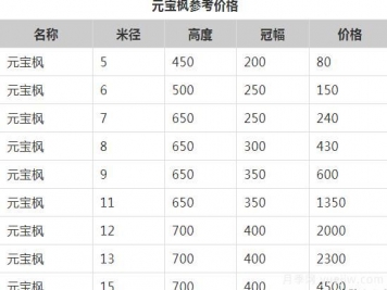 元寶楓的價(jià)格一路上漲，大規(guī)格優(yōu)質(zhì)苗一株能賣上萬元