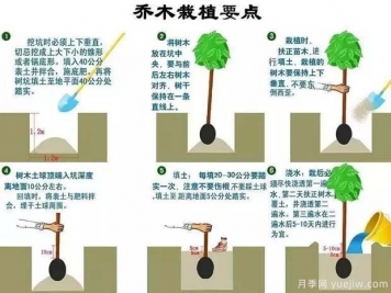 市政道路景觀規(guī)劃設計的主要手法18個問題