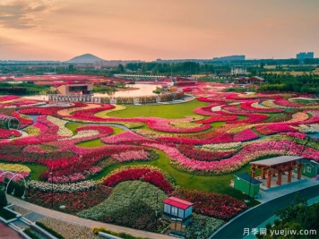 南陽2023首屆世界月季博覽會，月季花開迎客來