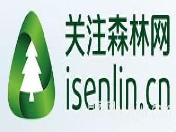 月季選苗時(shí)，要注意哪些事項(xiàng)？