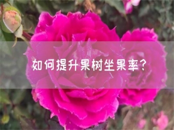 如何提升果樹坐果率？