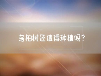 烏桕樹還值得種植嗎？