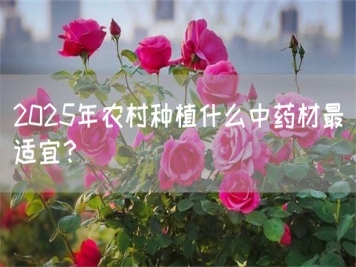 2025年農(nóng)村種植什么中藥材最適宜？