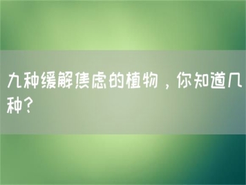 九種緩解焦慮的植物，你知道幾種？
