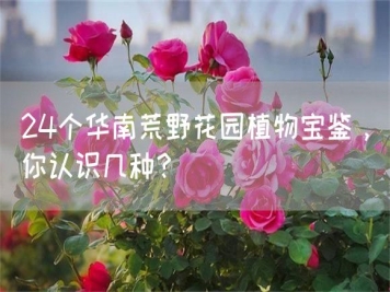 24個(gè)華南荒野花園植物寶鑒，你認(rèn)識(shí)幾種？