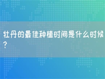 牡丹的最佳種植時間是什么時候？