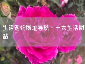 生活購(gòu)物網(wǎng)址導(dǎo)航_十大生活網(wǎng)站