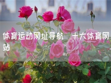 體育運動網(wǎng)址導航_十大體育網(wǎng)站