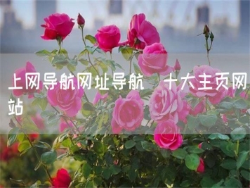 上網(wǎng)導(dǎo)航網(wǎng)址導(dǎo)航_十大主頁網(wǎng)站