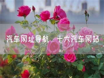 汽車網(wǎng)址導(dǎo)航_十大汽車網(wǎng)站