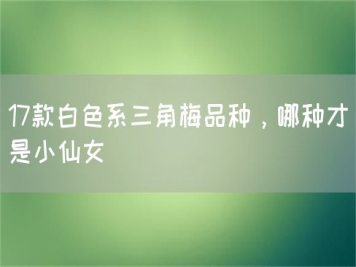 17款白色系三角梅品種，哪種才是小仙女