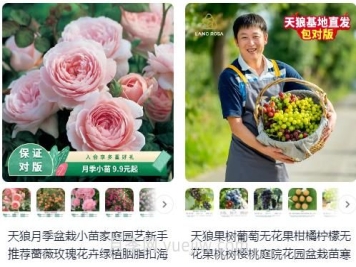 靠譜的月季淘寶店鋪有哪些？