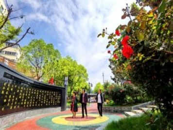 南陽臥龍崗街道，廢墟變游園，月季景優(yōu)美