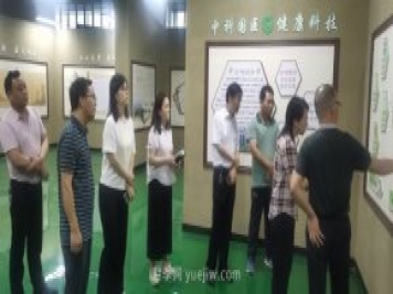 河南省林業(yè)局到桐柏縣調研艾草產業(yè)