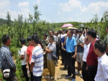 什么是新農(nóng)人，和傳統(tǒng)農(nóng)民有什么區(qū)別