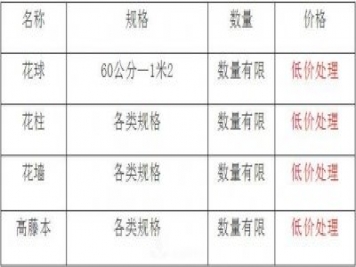 清地在即，部分造型月季品類月季價(jià)格短時(shí)間走低