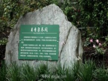 成都植物園也有月季園了，超美盛花期來啦