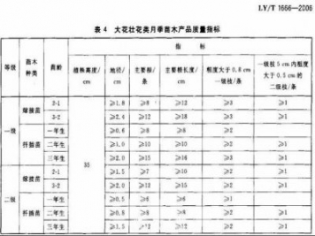 月季苗的質(zhì)量行業(yè)標準