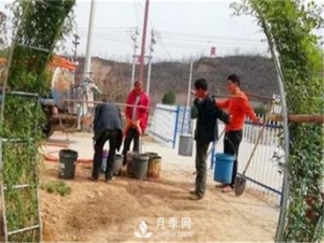 渭南引進(jìn)南陽月季，強勢打造馬趵泉景區(qū)景觀美化帶