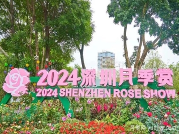 五園聯(lián)動，2024深圳月季賞浪漫進行中