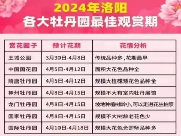 2024年洛陽(yáng)牡丹絢爛綻放，誰(shuí)與爭(zhēng)鋒？