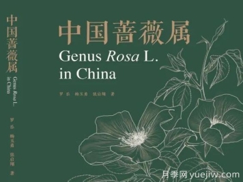 月季專(zhuān)著《中國(guó)薔薇屬》出版