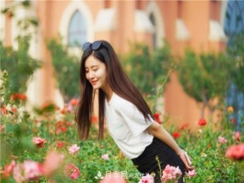 山東濟(jì)南的后花園，童話般月季花王國，300畝900個品種月季花盛放