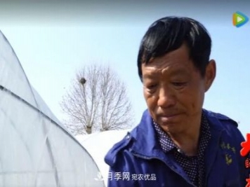 門外漢變成月季大師——南陽市世源實業(yè)有限公司技術總監(jiān)王懷青