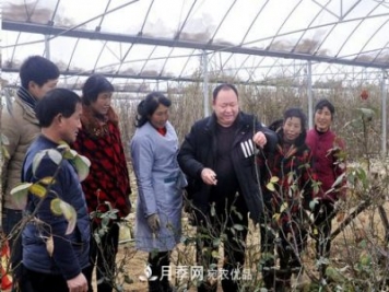 南陽月季集團總經理李付昌——月季大觀園里的拓荒者