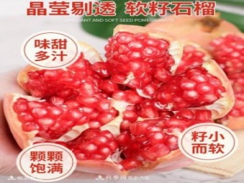 淅川突尼斯軟籽石榴基地批發(fā)價(jià)格，好水果