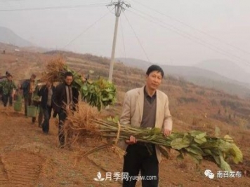 南召縣邱峰：玉蘭苗木脫貧攻堅(jiān)戰(zhàn)場(chǎng)上“最可愛(ài)的人”