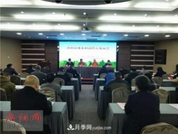 2.2億株！洛陽市可供今冬明春國土綠化使用的苗木種類齊全