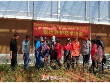 上海崇明舉辦月季繁殖栽培及冬季養(yǎng)護技術(shù)培訓