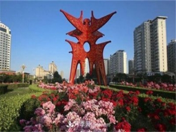 商丘的“市花”和“市樹”是什么，你能想到了