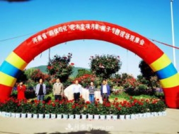 河南省四優(yōu)四化項目 助推南陽月季、梔子產(chǎn)業(yè)發(fā)展
