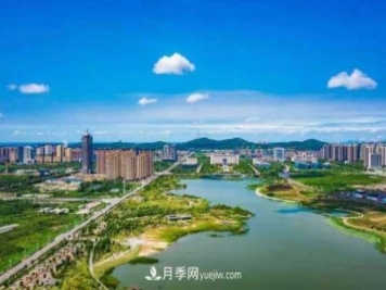 淮南市花、市樹是什么？是月季嗎？