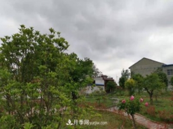 十三五以來，許昌市累計(jì)完成林業(yè)生態(tài)建設(shè)面積120余萬畝