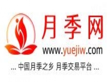 月季網的官網地址是什么？