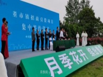 宜昌枝江：曹店月季花節(jié)開幕，招客商促鄉(xiāng)村振興