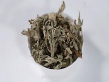 南陽艾草產業(yè)蓬勃發(fā)展的背后原因是為什么？