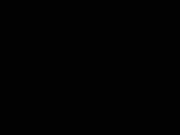 彩虹粉月季/粉彩虹