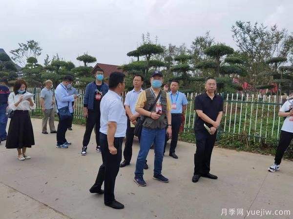 暢游中國花木之鄉(xiāng)，兩岸媒體人見證鄢陵縣鄉(xiāng)村振興之路(圖1)