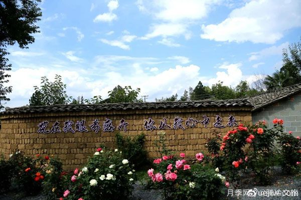 月季與美麗鄉(xiāng)村：保山騰沖老寨子，花在我眼前盛開(圖3)