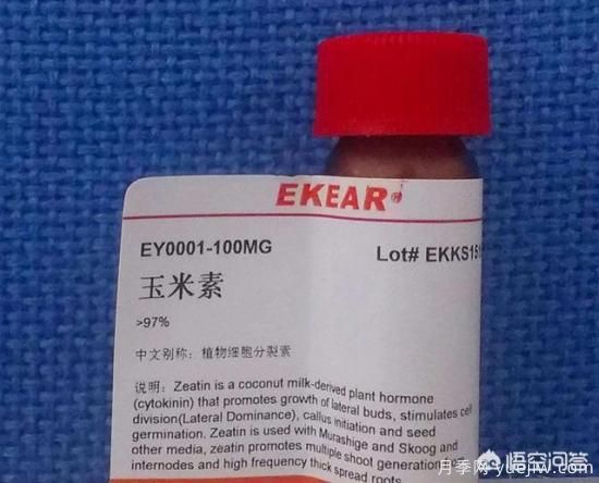 常見的花卉生長調(diào)節(jié)劑都有哪些？它們都起什么作用？(圖3)