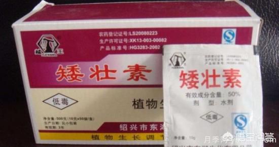 常見的花卉生長調(diào)節(jié)劑都有哪些？它們都起什么作用？(圖4)