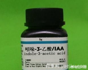 常見的花卉生長調(diào)節(jié)劑都有哪些？它們都起什么作用？(圖2)